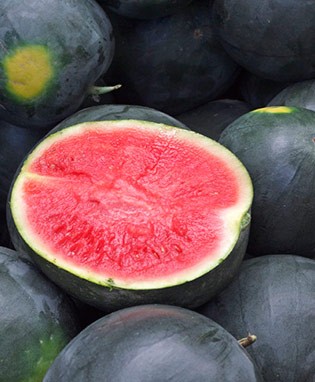 black-diamond-watermelon