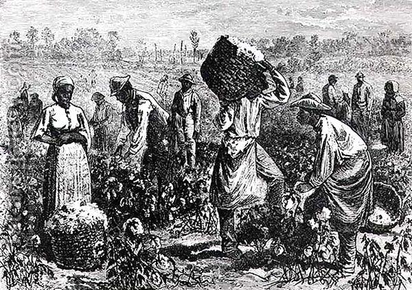 slaves-picking-cotton-on-a-plantation